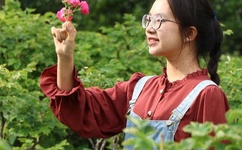 安娜金大尺度视频